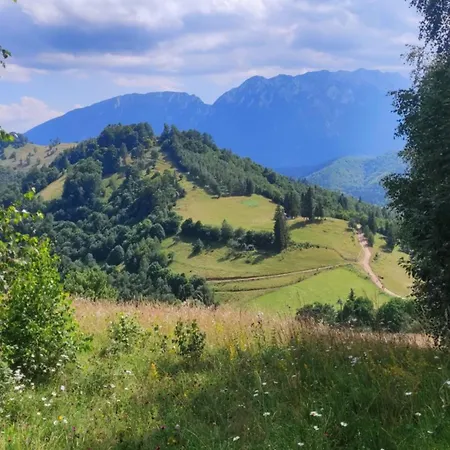 On The Hill * Braşov